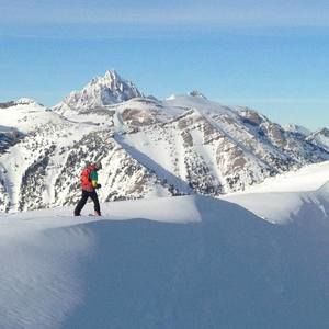 Meet your Posher, Carson